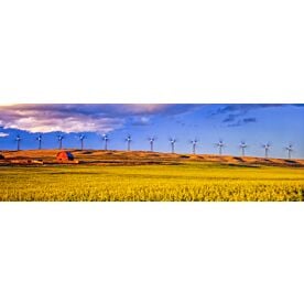 Canola Field Wind Farm 3041 Wallpaper Wall Mural