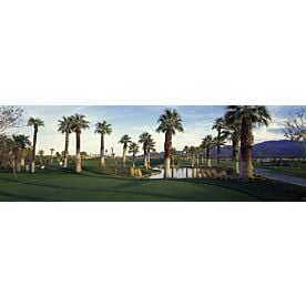 Palms at Desert Springs Golf Course Wallpaper Wall Mural