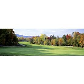 Golfing in New England Wallpaper Wall Mural