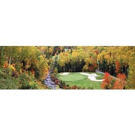 Golf in New England III Wallpaper Wall Mural