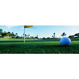 Ball at Hawaii Hole Wallpaper Wall Mural