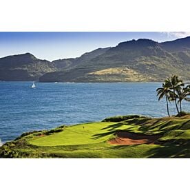 Palms at Kauai Lagoons Golf Wallpaper Wall Mural