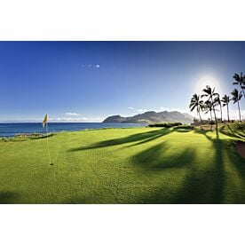 Flag at Kauai Lagoons Golf Wallpaper Wall Mural