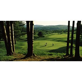 Country Club of Vermont Golf Wallpaper Wall Mural