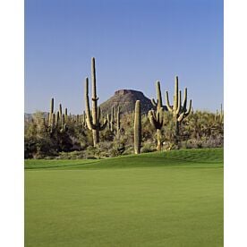 Troon North Golf Club Scottsdale Wallpaper Wall Mural