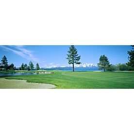 Sand Traps at Edgewood Tahoe Golf Course Wallpaper Wall Mural