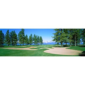 Edgewood Tahoe Sand Traps Wallpaper Wall Mural