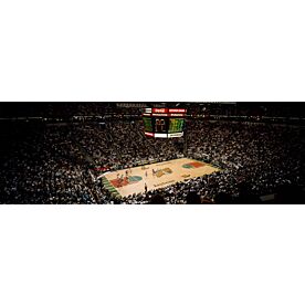 Key Arena Basketball 3746 Wallpaper Wall Mural