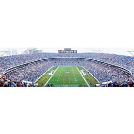 Carolina Panthers Ericsson Stadium 9417 Wallpaper Wall Mural