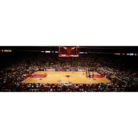 Bulls v Suns at Chicago 8168 Wallpaper Wall Mural