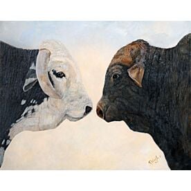 Cattle Eye To Eye Portrait