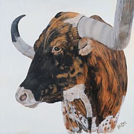 Melancholy Longhorn II