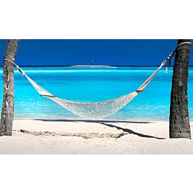 Dream Hammock