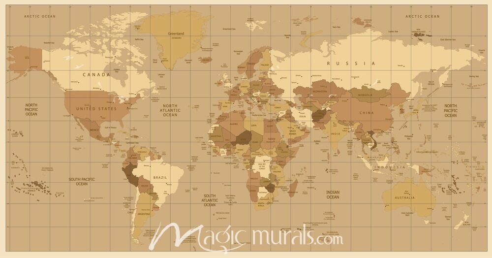 Africa-Centered World Map in Brown Wallpaper Wall Mural