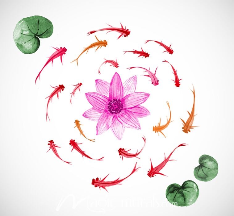 Asian Fish and Lotus Flower Wallpaper Wall Mural