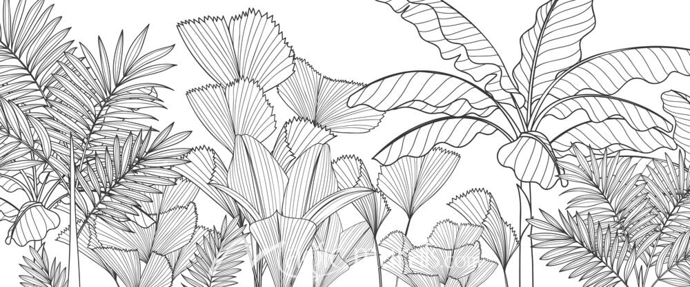 Tropical Plant Line Art 3089 Wallpaper Wall Mural