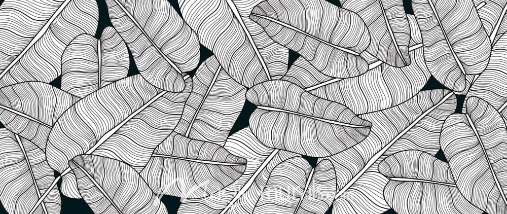 Banana Leaf Line Art 3031 Wallpaper Wall Mural