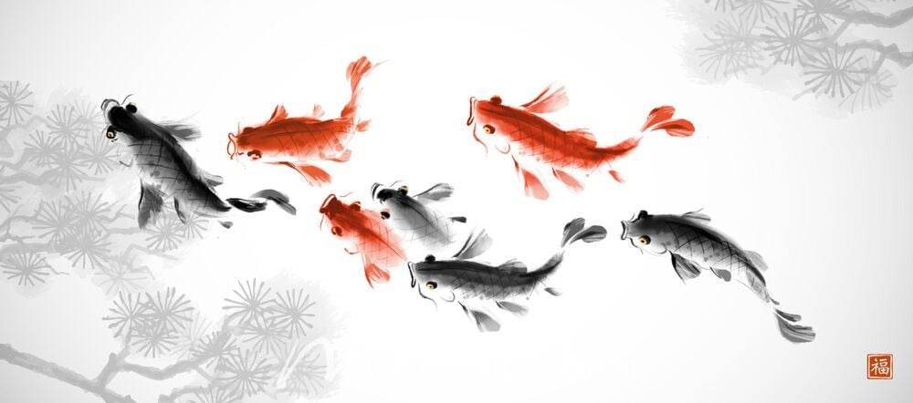 Koi Carp and Pine Ink Wash Painting 7119 Wallpaper Wall Mural