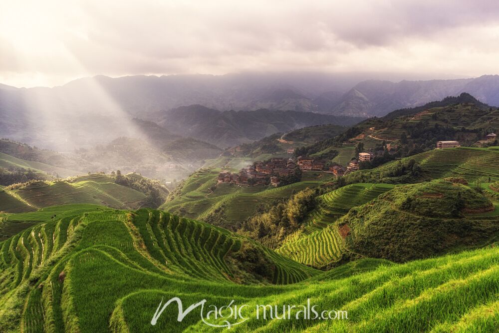 Longji Rice Terrace Guilin Guangxi China Wallpaper Wall Mural