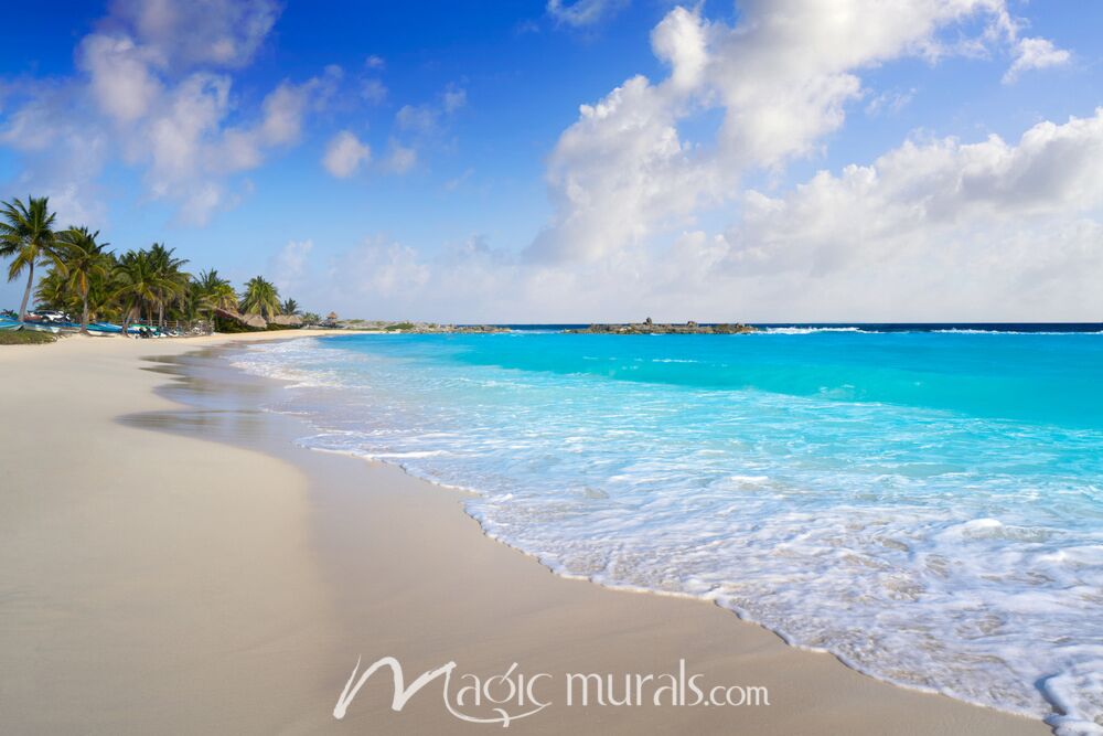 Cozumel Island Beach 3147 Wallpaper Wall Mural