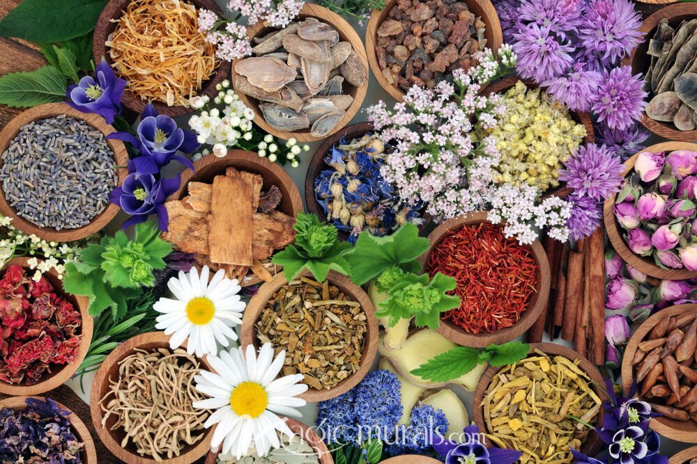 Chinese Herbal Medicine 4263 Wallpaper Wall Mural