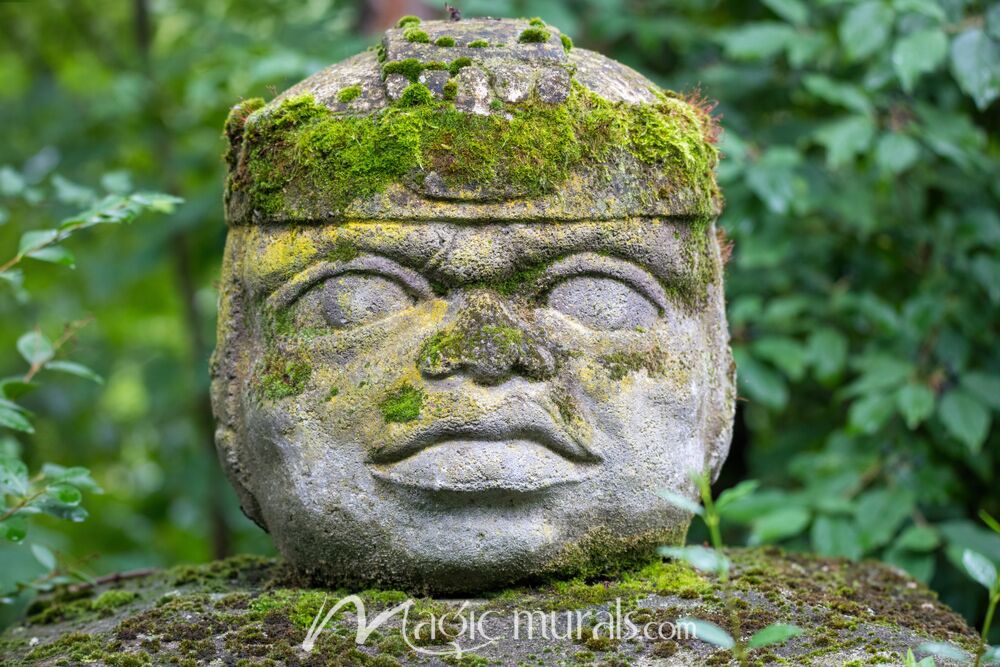 Olmec Head 0207 Wallpaper Wall Mural