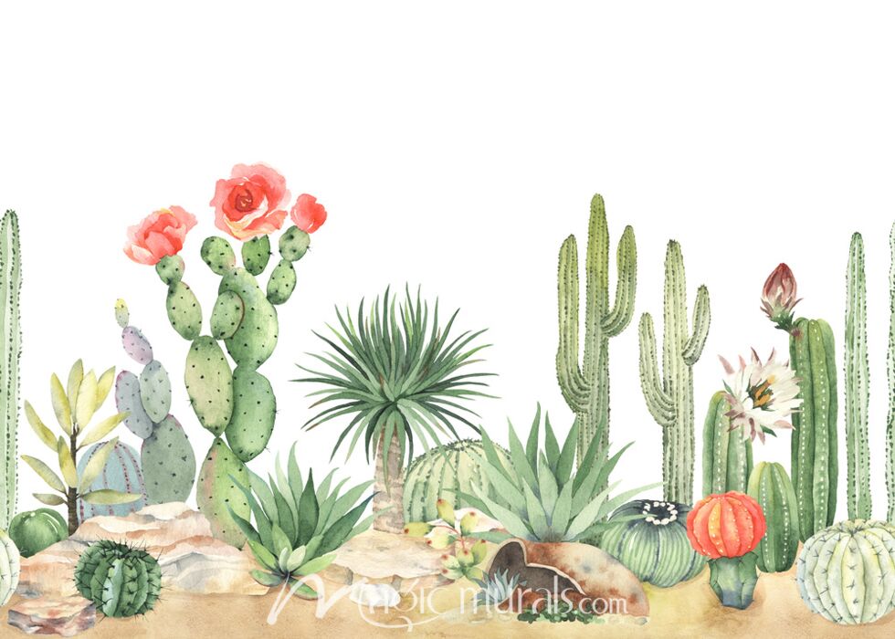 Cacti and Succulents 2068 Wallpaper Wall Mural