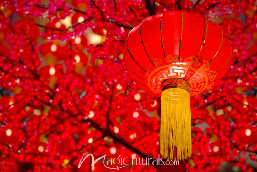 Chinese Lantern Tree Wallpaper Wall Mural