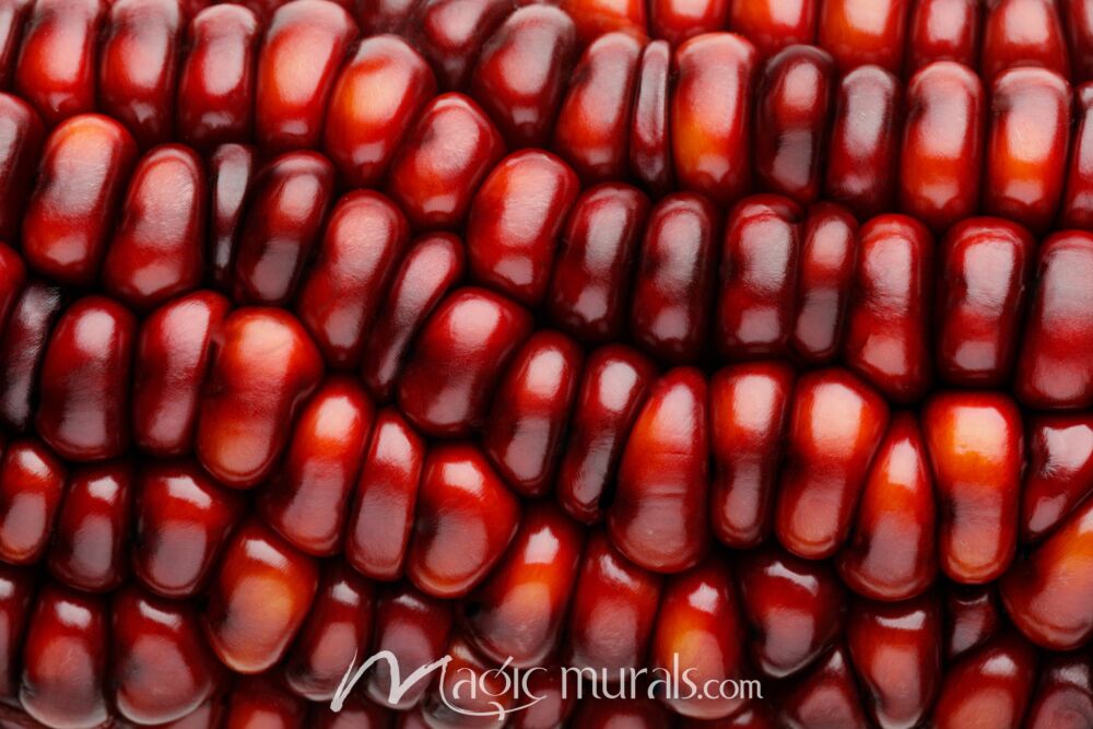 Red Corn Macro 8647 Wallpaper Wall Mural