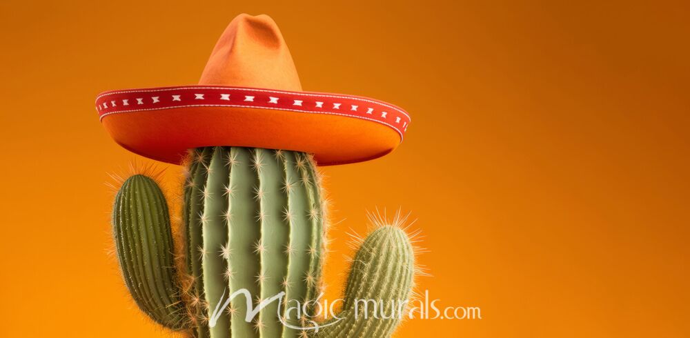 Sombrero Cactus 2541 Wallpaper Wall Mural