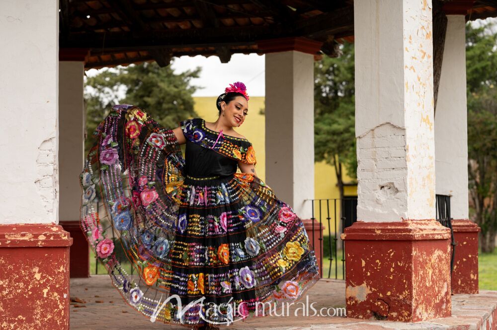 Mexican Folk Dancer 1779 Wallpaper Wall Mural