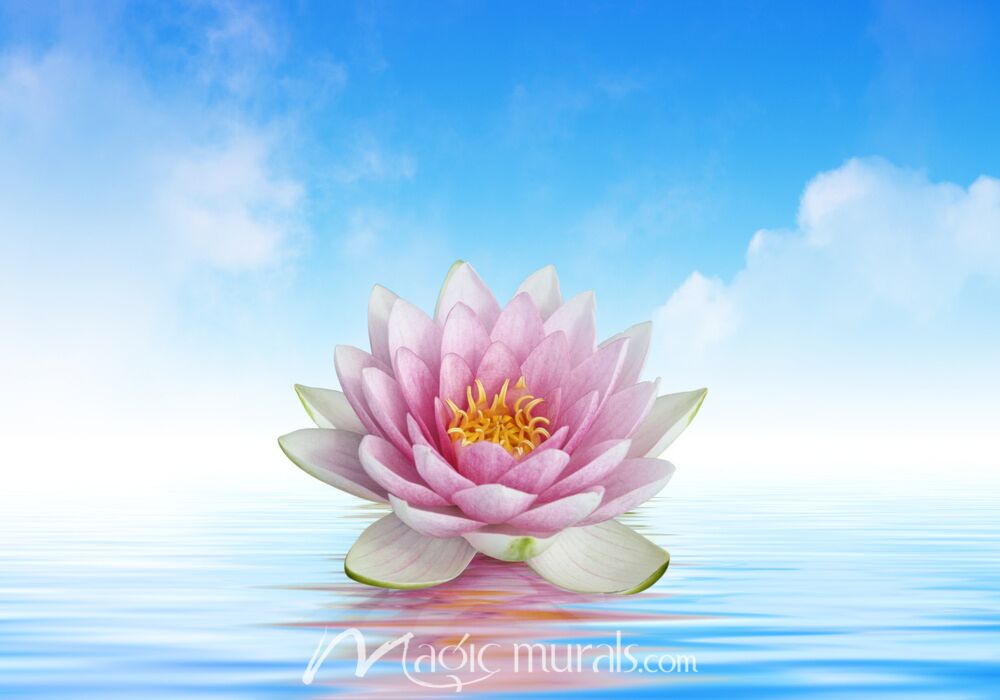 Giant Lotus on Smooth Ocean Wallpaper Wall Mural