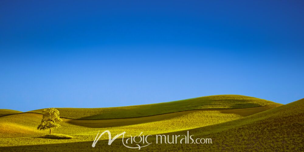 Lone Tree in a Stream of Light - Schwartz Wallpaper Wall Mural