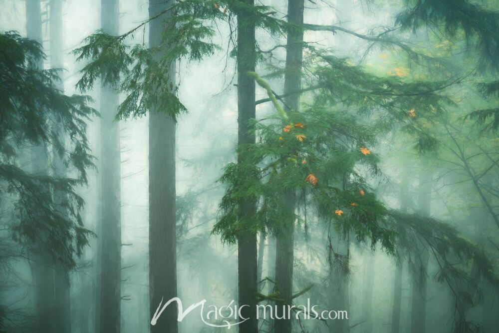 A Peek Through the Misty Woods III - Schwartz Wallpaper Wall Mural