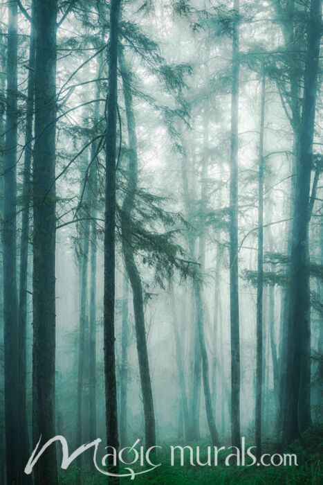 In the Quiet Misty Woods - Schwartz Wallpaper Wall Mural