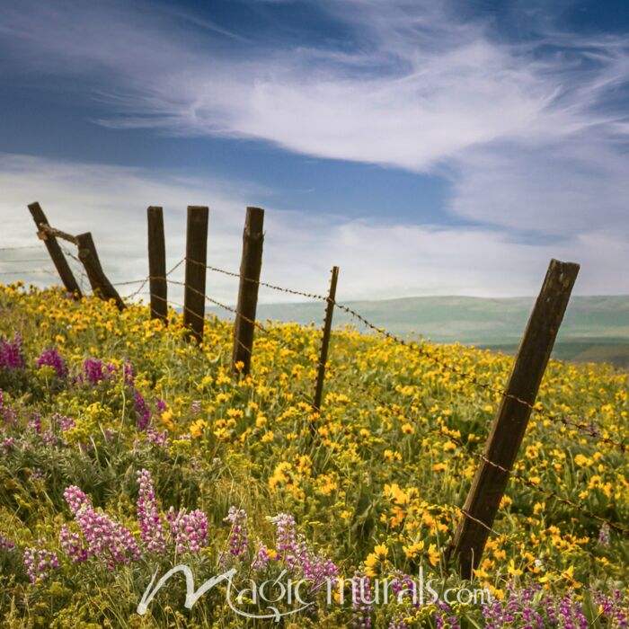 Wildflower Meadow Meets the Sky II - Schwartz Wallpaper Wall Mural