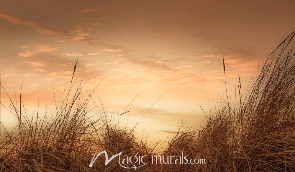 Beach Grasses at Sunset I - Schwartz Wallpaper Wall Mural