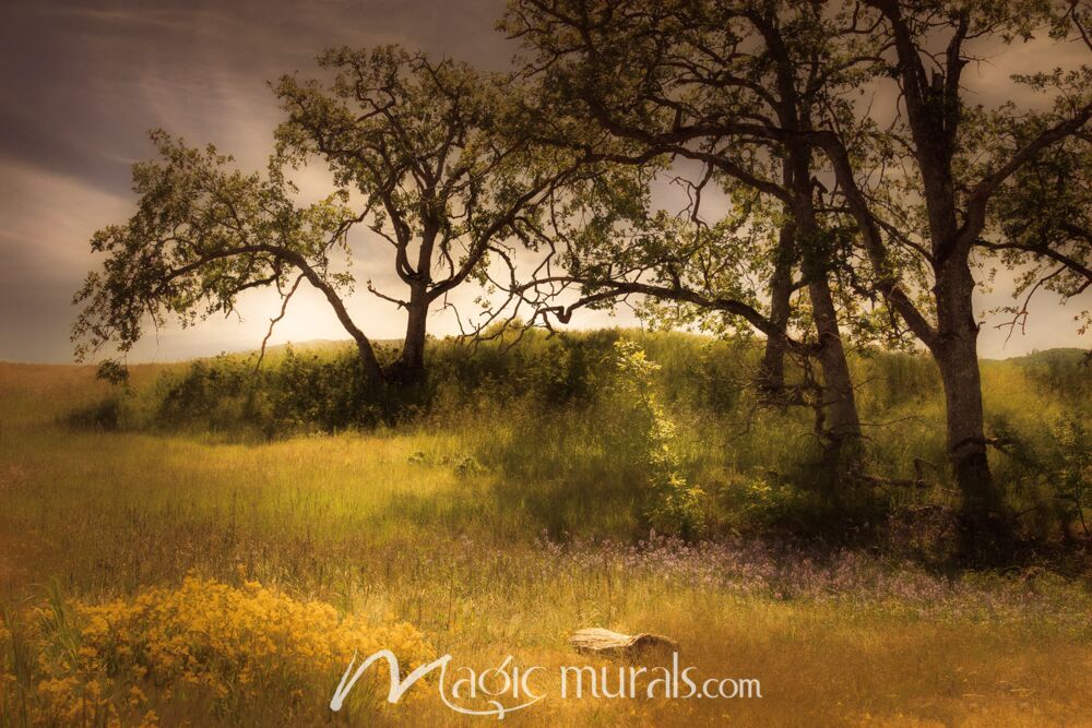 Flowering Meadow – Schwartz Wallpaper Wall Mural