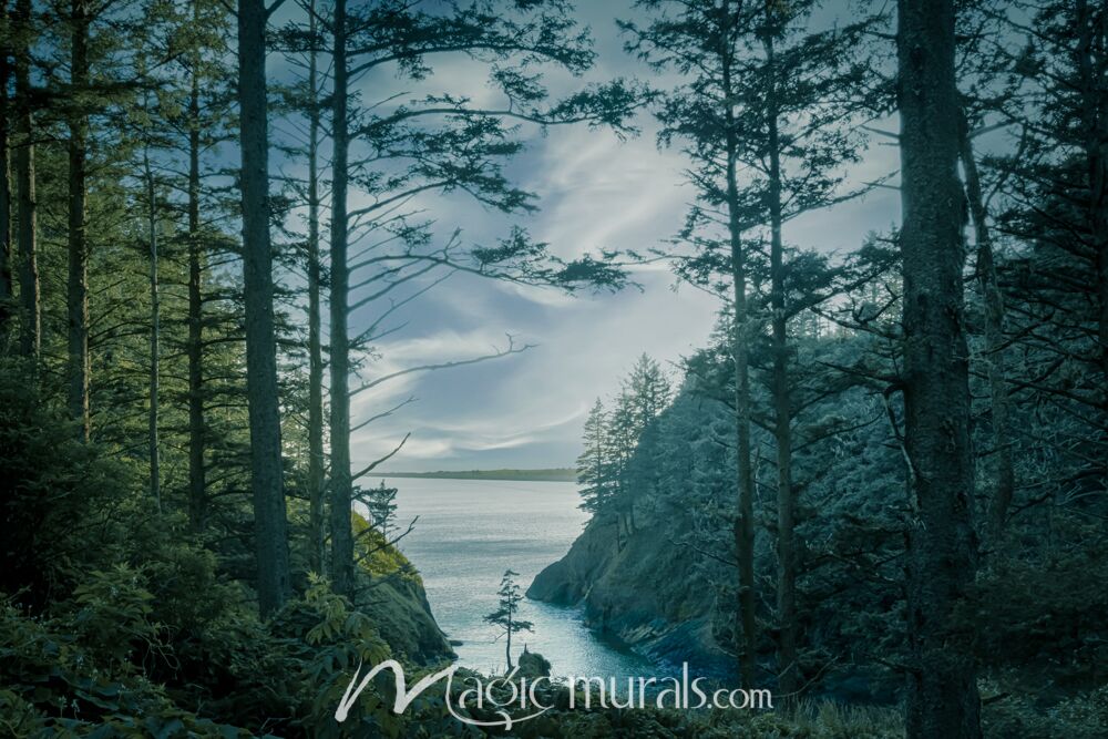 Through the Cove – Schwartz Wallpaper Wall Mural