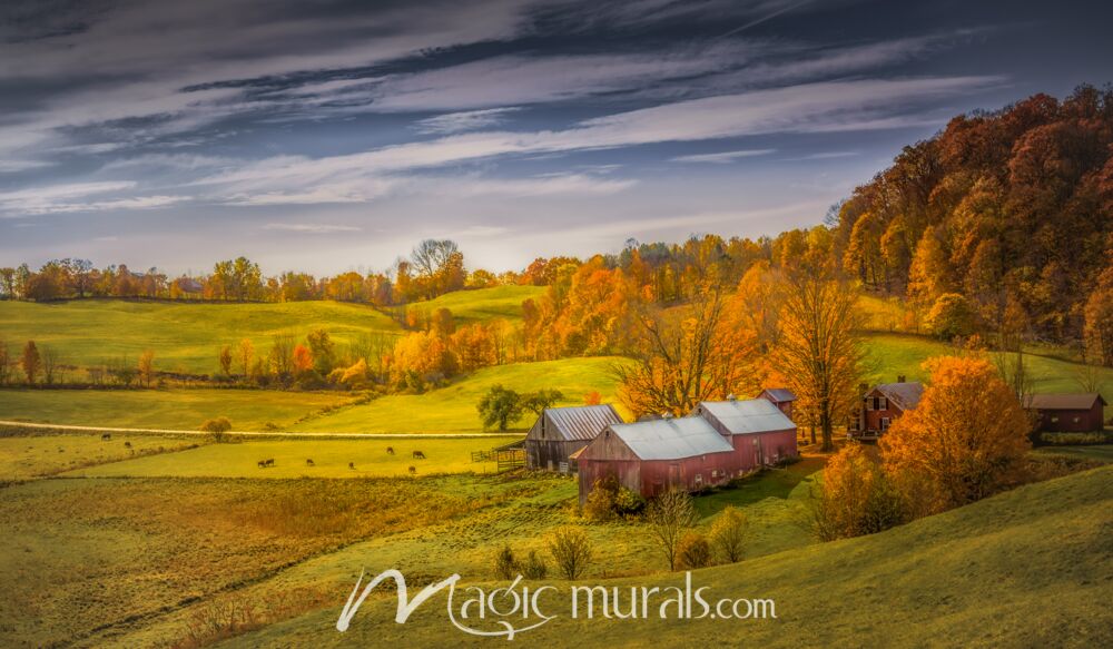 Autumn at the Farm IV – Schwartz Wallpaper Wall Mural