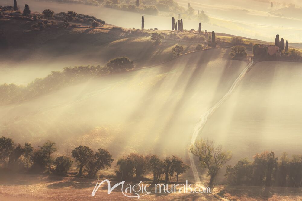 Sun Splashed Hills Wallpaper Wall Mural