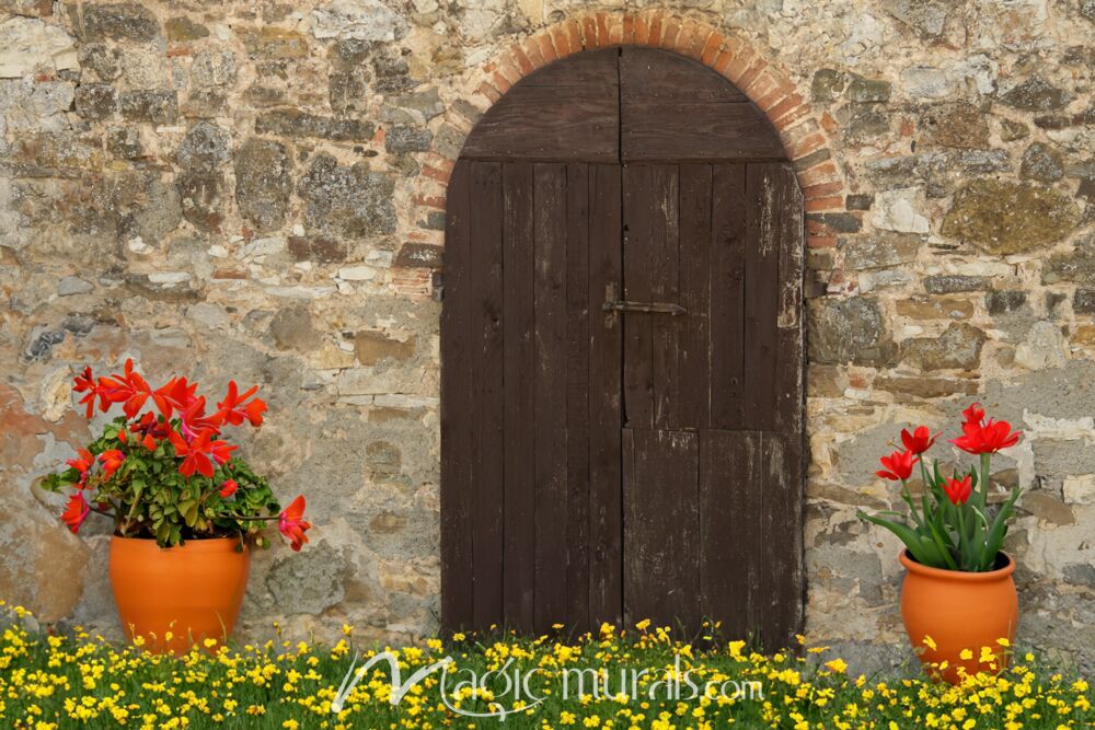 Rustic Door – Schwartz Wallpaper Wall Mural