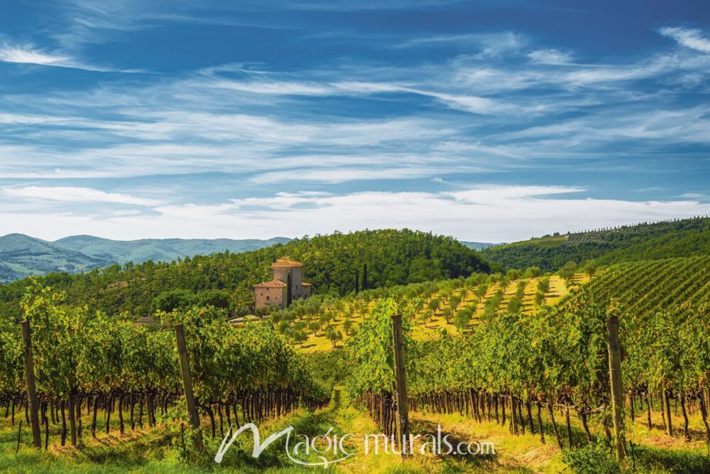 Chianti Vineyard Wallpaper Wall Mural