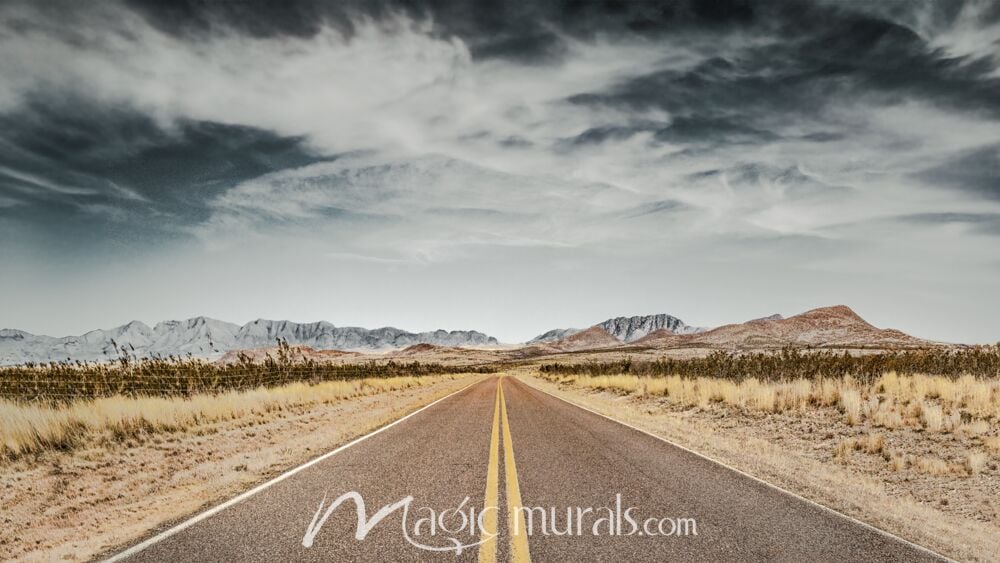 Desert Road McNeal Arizona Wallpaper Wall Mural