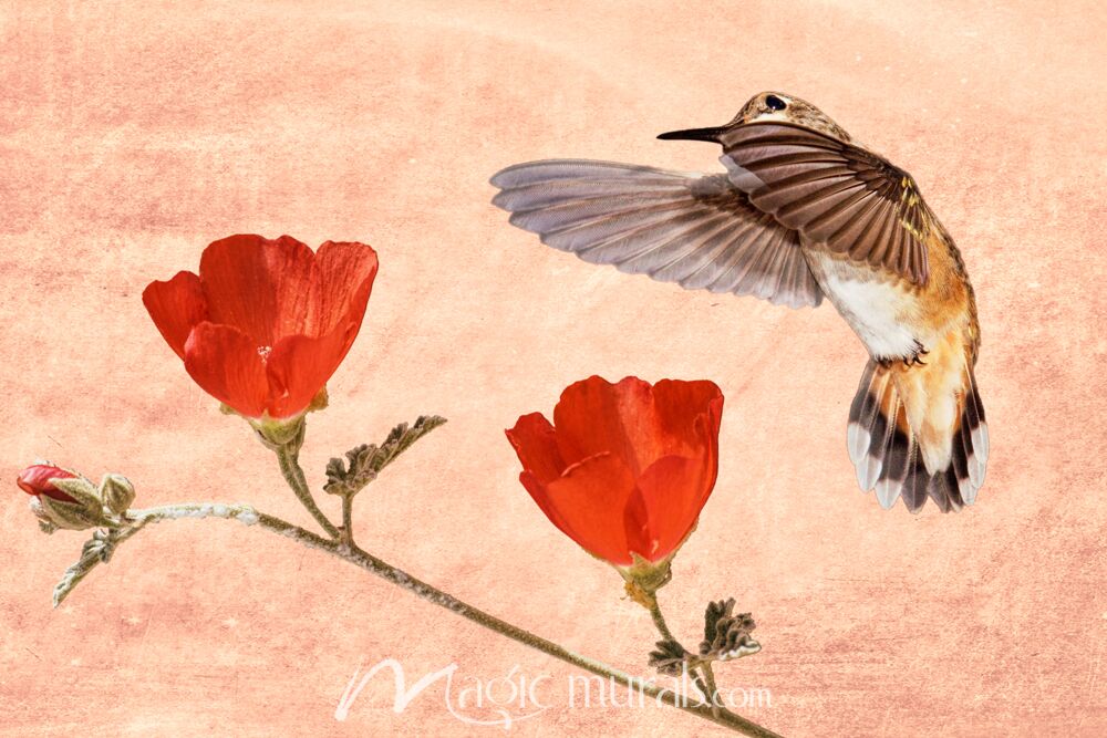 Hummingbird Desire Wallpaper Wall Mural