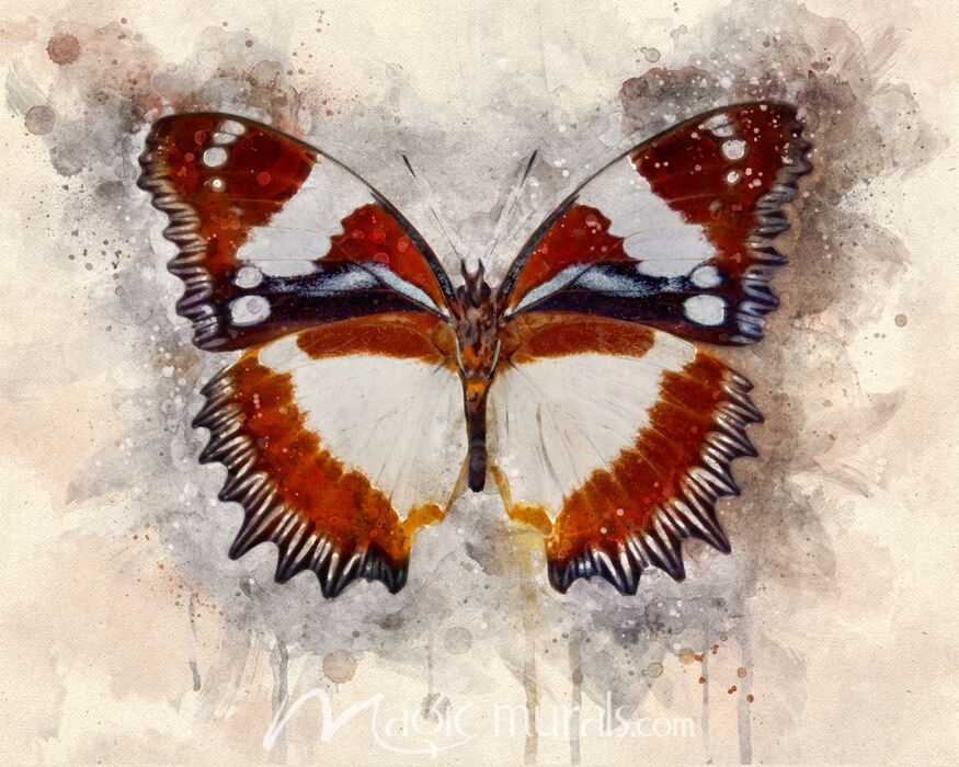 Butterfly Flying Through Color Wallpaper Wall Mural