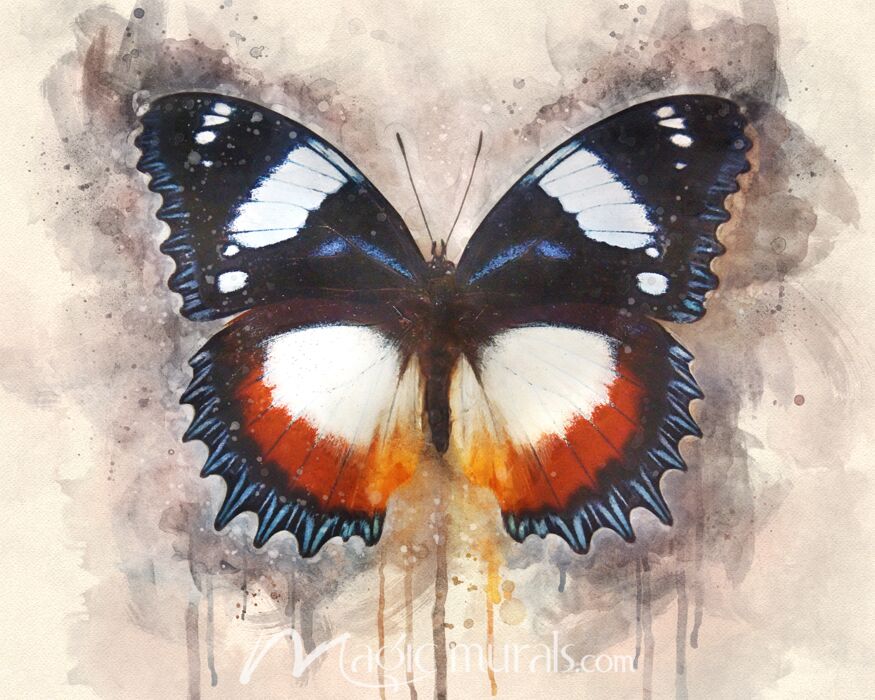 Butterfly Artful Nature Wallpaper Wall Mural