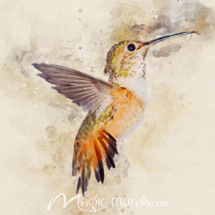 Hummingbird Exuberance Wallpaper Wall Mural