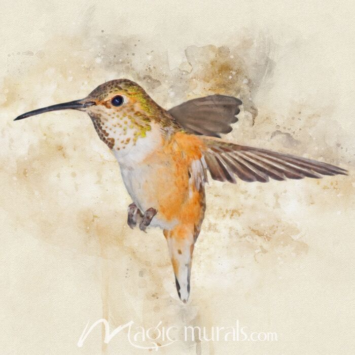 Hummingbird Stalling Wallpaper Wall Mural