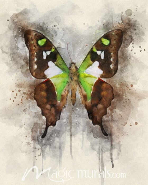 Butterfly Natural Abstraction Wallpaper Wall Mural